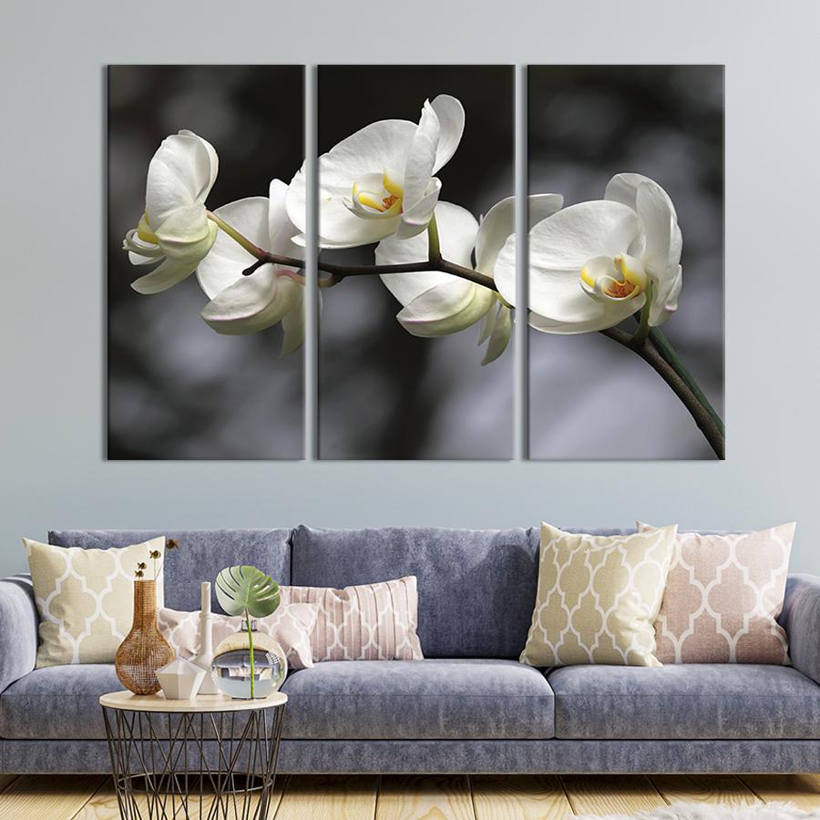 Модульна картина на холсті Триптих Білосніжні орхідеї 78х48 см (230-31)