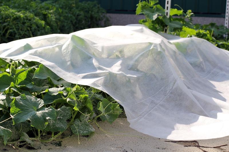 Агроволокно укрывное Love&Home17 г/м2 1,6х10 м в пакетах (2AG17_1610) - фото 5 Агроволокно укрывное Love&Home17 г/м2 1,6х10 м в пакетах (2AG17_1610) - фото 5