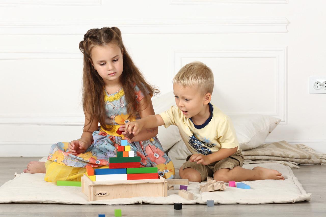 Конструктор HEGA Інклюзія (89) - фото 7 Конструктор HEGA Інклюзія (89) - фото 7