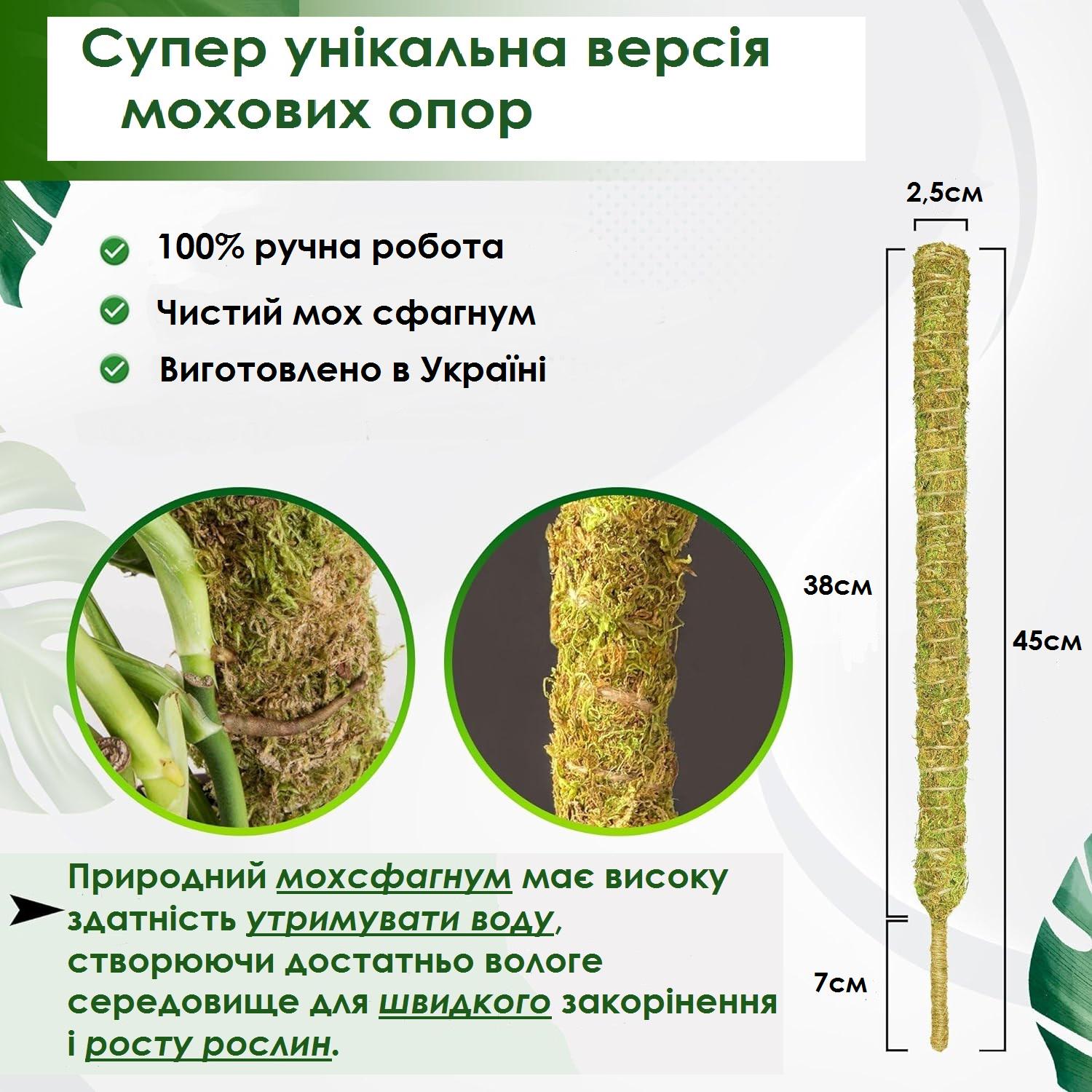 Опора з моху Моховий стовп для кімнатних рослин 45 см - фото 4