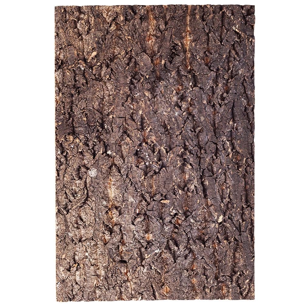 Фон из коры для террариума Repti-Zoo Big Tree Background 20х30 см (RZ-NCT13)