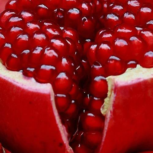 Сажанец Гранат комнатно-садовый розовый Гюлоша (44798)