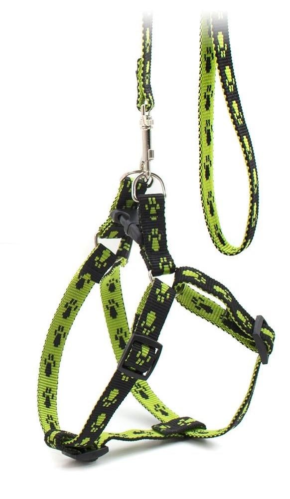 Шлейка та поводок капрон Лапки 1х22 Зелений (00000006687)