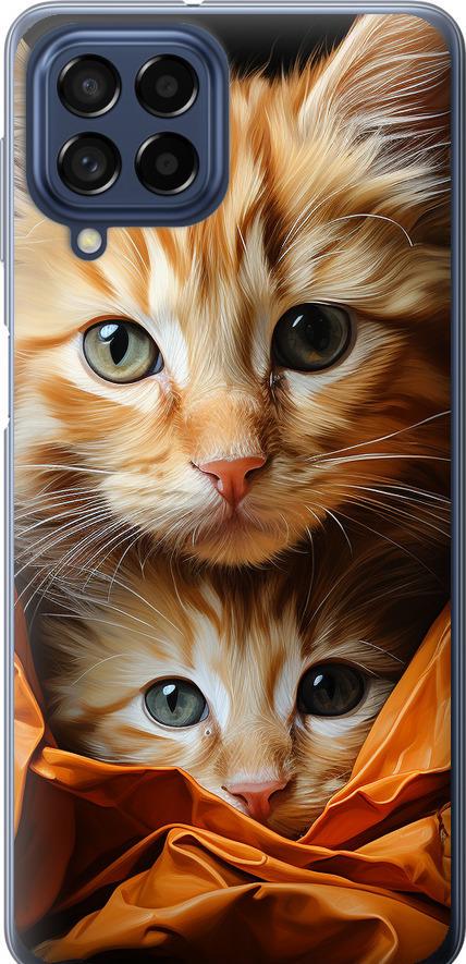 Чехол на Samsung Galaxy M53 M536B Котики 2 (5664u-2608-42517)