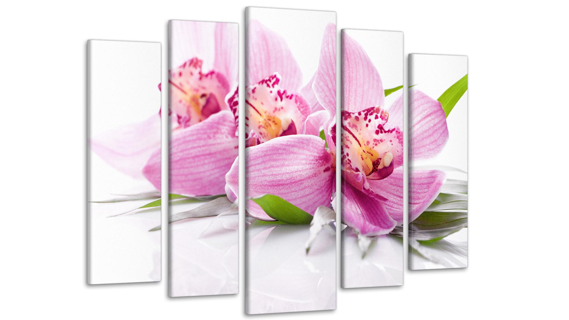 Модульная картина Цветы Орхидея 80х118 см (Art-59_5)