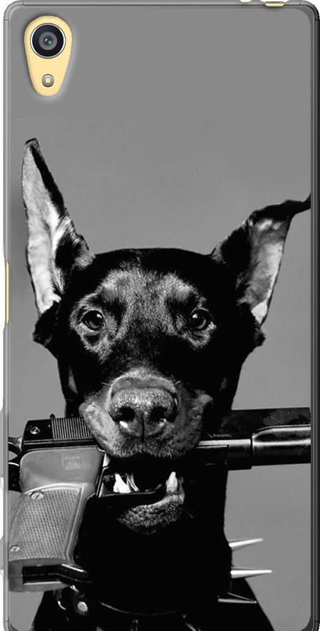 Чехол на Sony Xperia Z5 E6633 Доберман (2745u-274-42517) Чехол на Sony Xperia Z5 E6633 Доберман (2745u-274-42517)