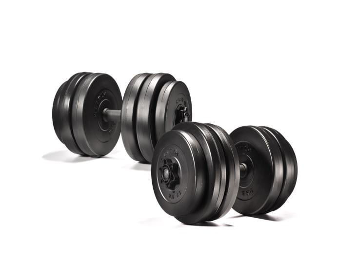 Гантели сборные Elitum с ABS покрытием 52 кг (Sport304)