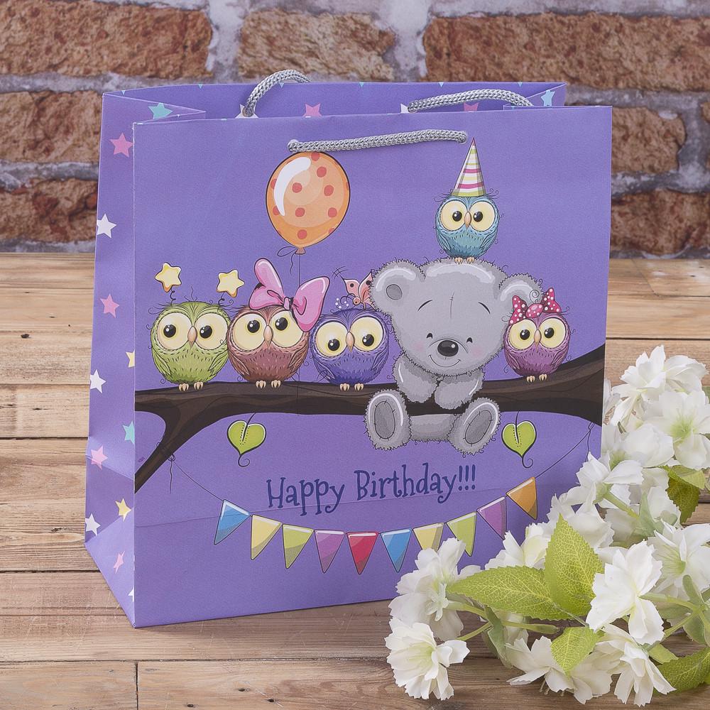 Пакет W1D-101 Совушки 23х23х10 см (4680-w1D-101)