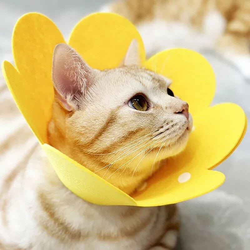 Воротник-ошейник для собак и кошек Flower для заживления ран L Yellow (354534) - фото 6