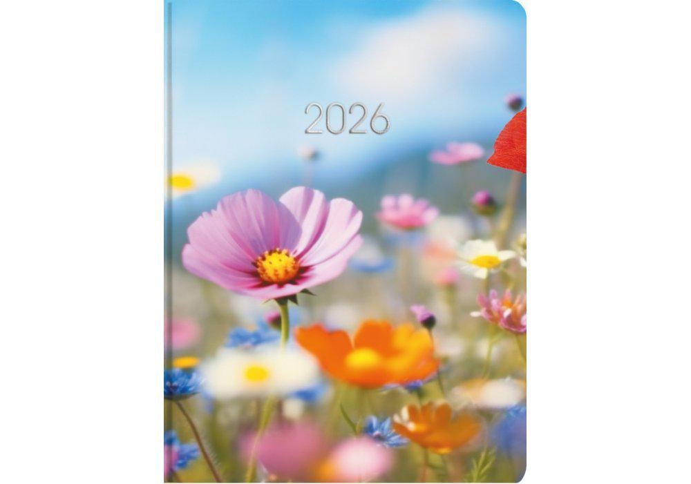 Дневник датированный 2026 Economix Color A5 336 стр. принт (E21864)