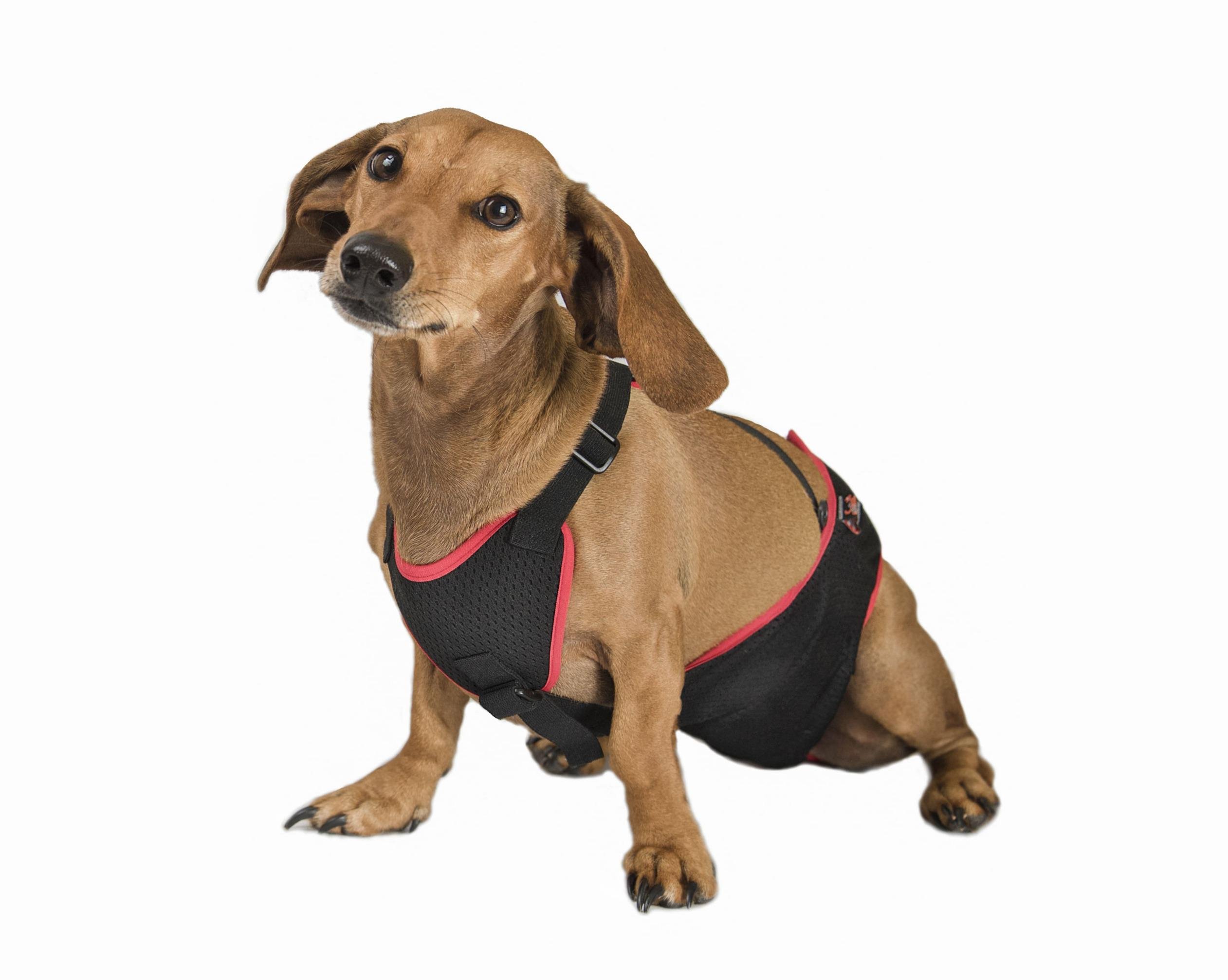 Труси Frakishtak для кобелів S Чорний (28078625)