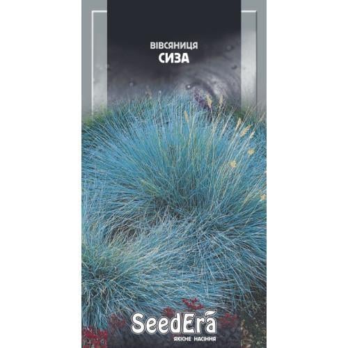 Семена цветов Кострица сизая Сімейний сад 0,1 г (CS-0966)
