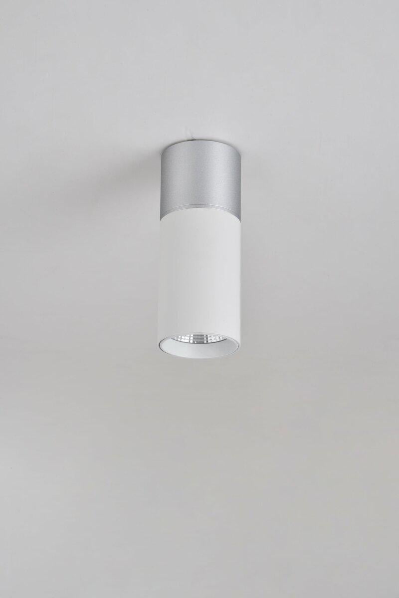 Точечный светильник Sirius RT553 WT/SSV (36660) Точечный светильник Sirius RT553 WT/SSV (36660)