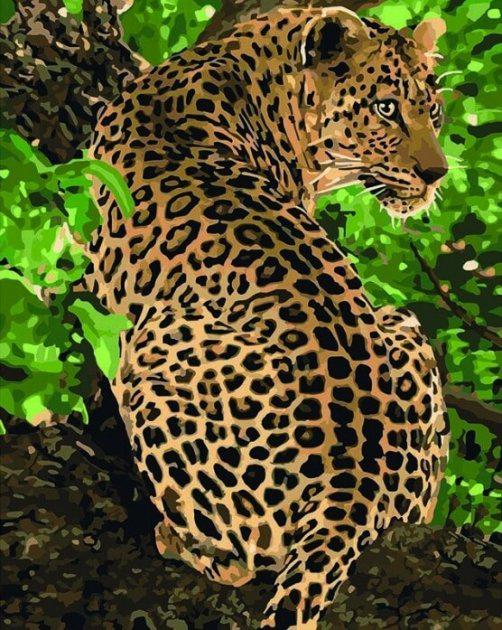 Картина за номерами Ідейка Леопард 40x50 см (skl-КНО4101)