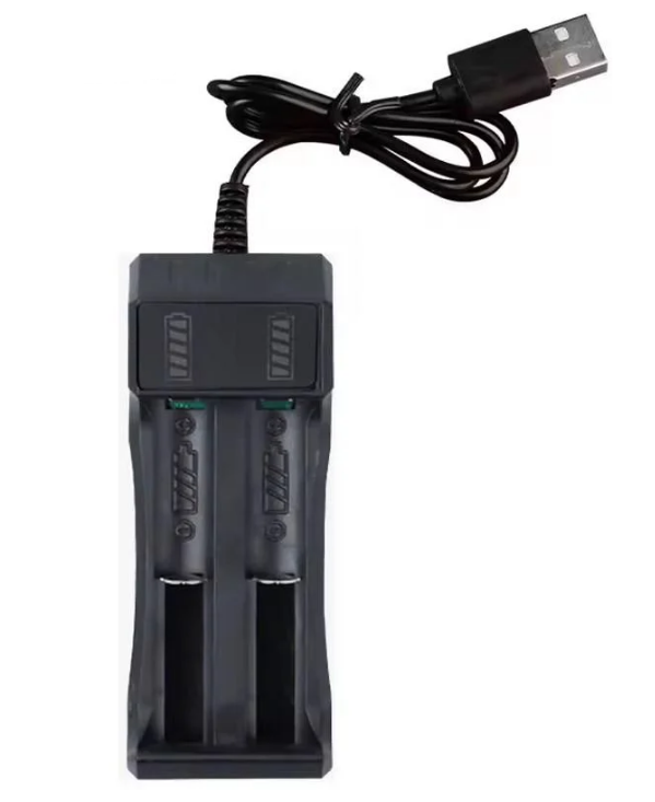 Зарядное устройство для 2 AA/AAA аккумуляторов для зарядки NI/MH/LI-On USB (1536) Зарядное устройство для 2 AA/AAA аккумуляторов для зарядки NI/MH/LI-On USB (1536)