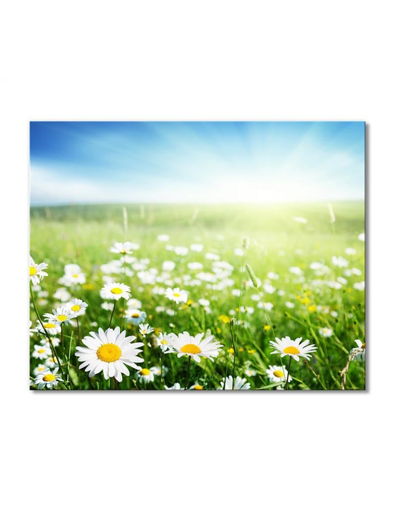 Картина модульная Полянка ромашек и колоски 1 модуль 70x105 см