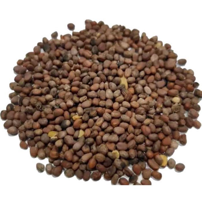 Семена смесь горчица/масляная редька/рапс сидерат 1 кг (01120)