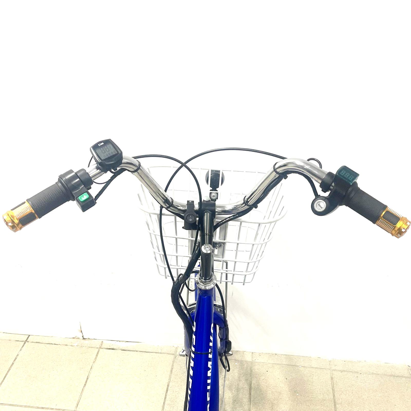 Електровелосипед триколісний Tiras DeumekoTrisnow2424 36V/350W 20Ah - фото 5