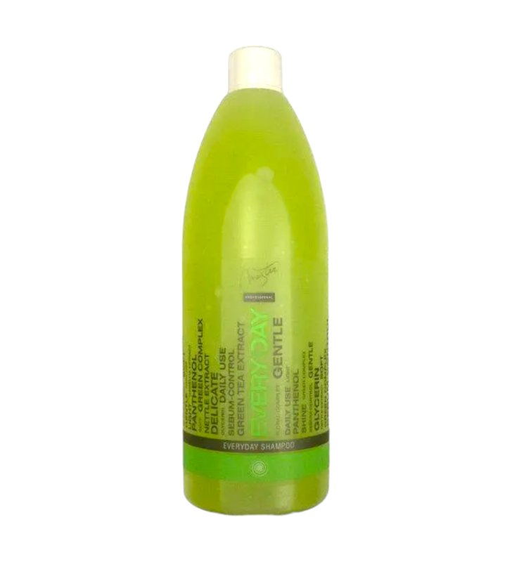 Шампунь для ежедневного использования Spa Master Prof EVERYDAY 151 SM 970 мл