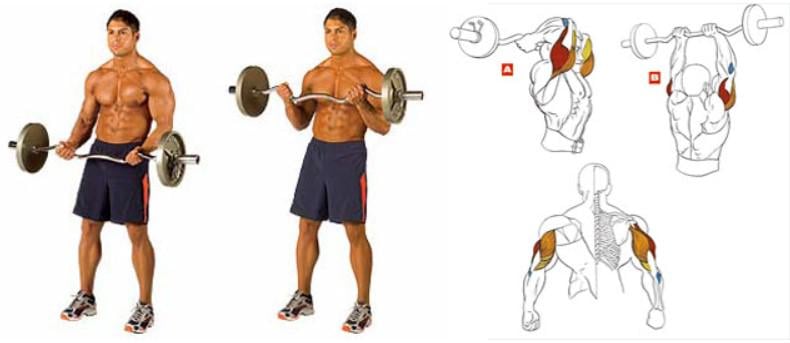 Гриф для штанги хромированный ломаный W-образный WCG 120 см d 28 мм 1 шт. - фото 7 Гриф для штанги хромированный ломаный W-образный WCG 120 см d 28 мм 1 шт. - фото 7