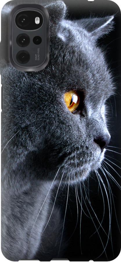 Чохол на Motorola G22 Гарний кіт (3038u-2681-42517)