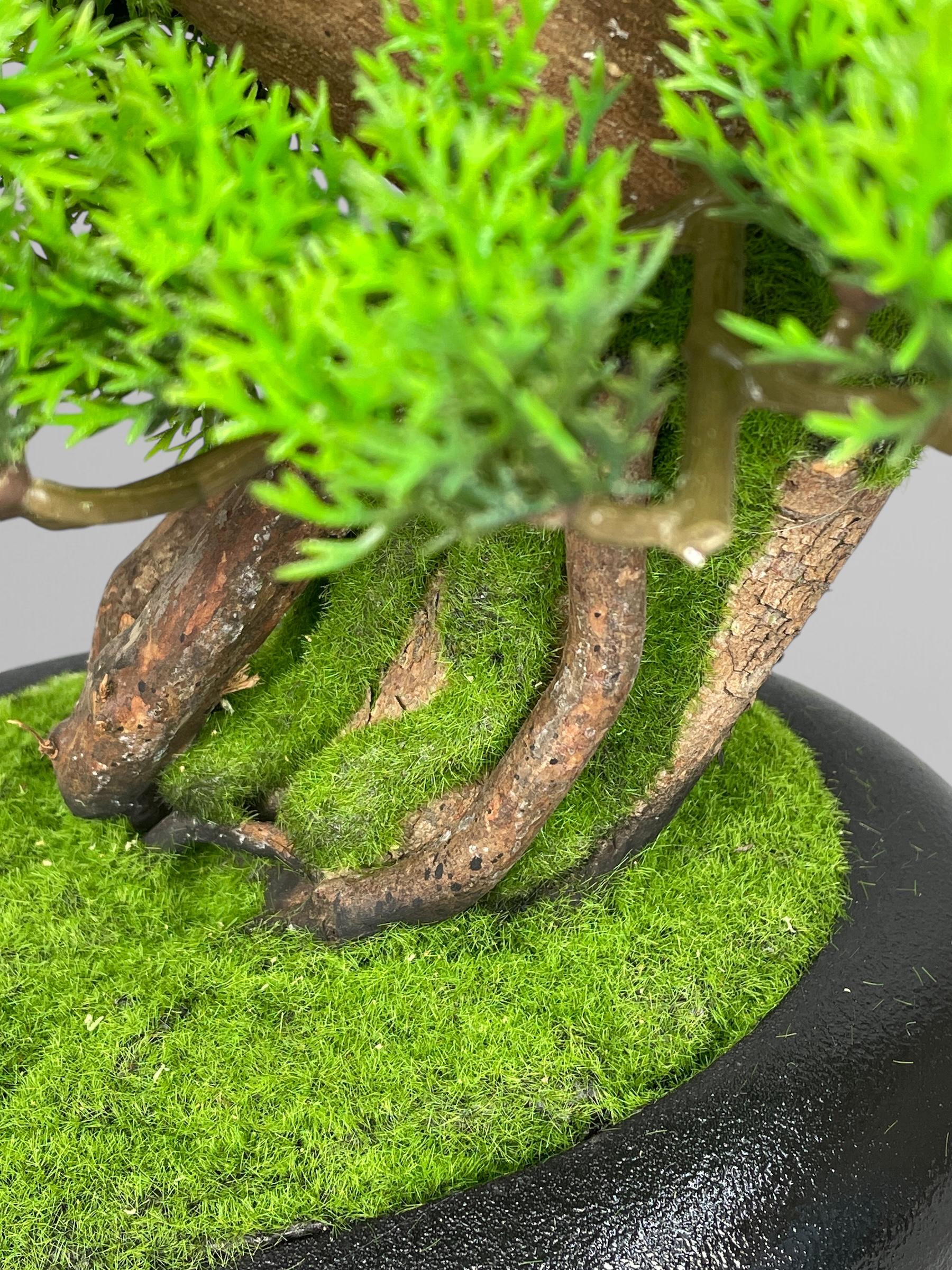 Бонсай 35 см Зеленый (Б005) - фото 6