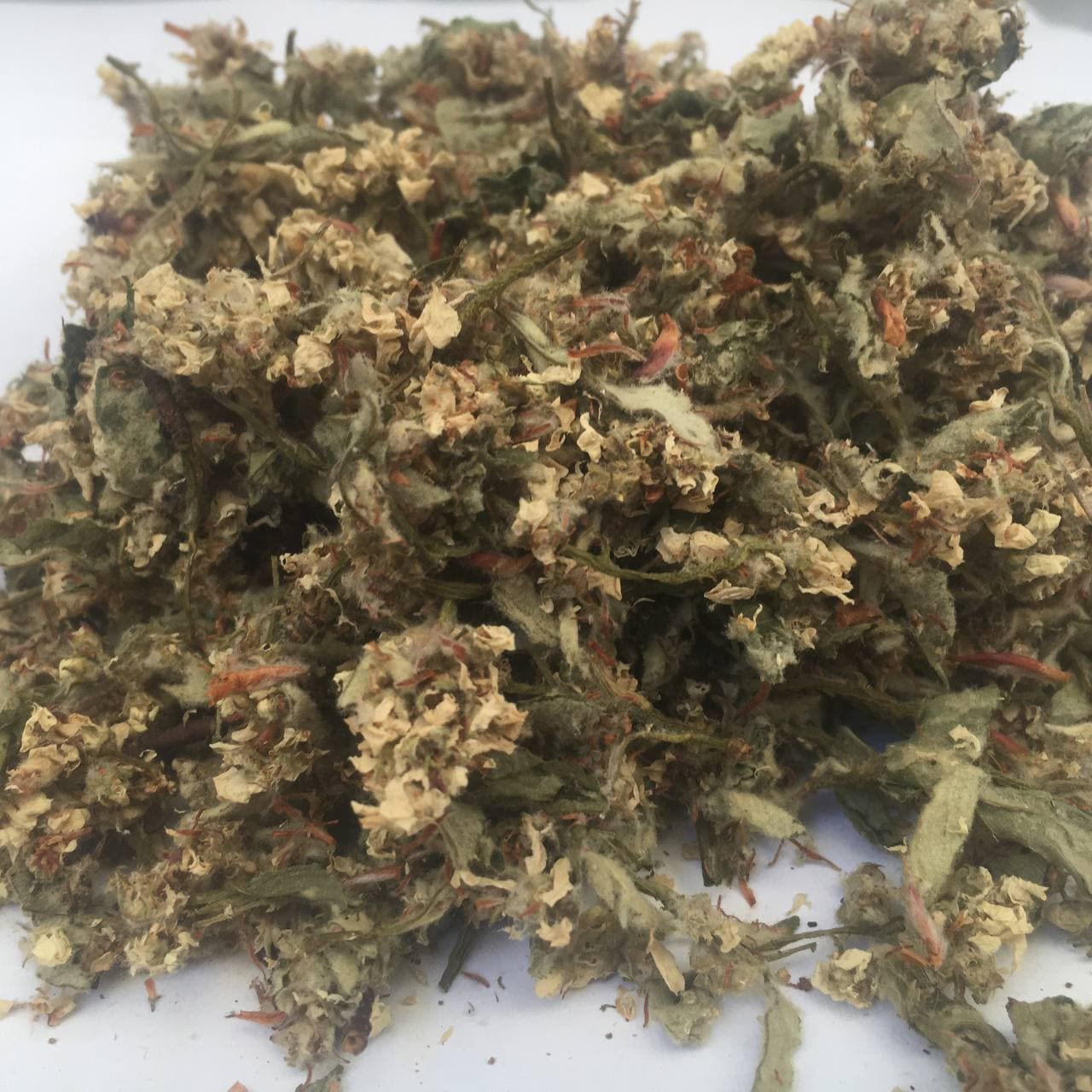 Ирга круглолистая Карпаты цветы 50 г (61a7826a184151635752f482) Ирга круглолистая Карпаты цветы 50 г (61a7826a184151635752f482)