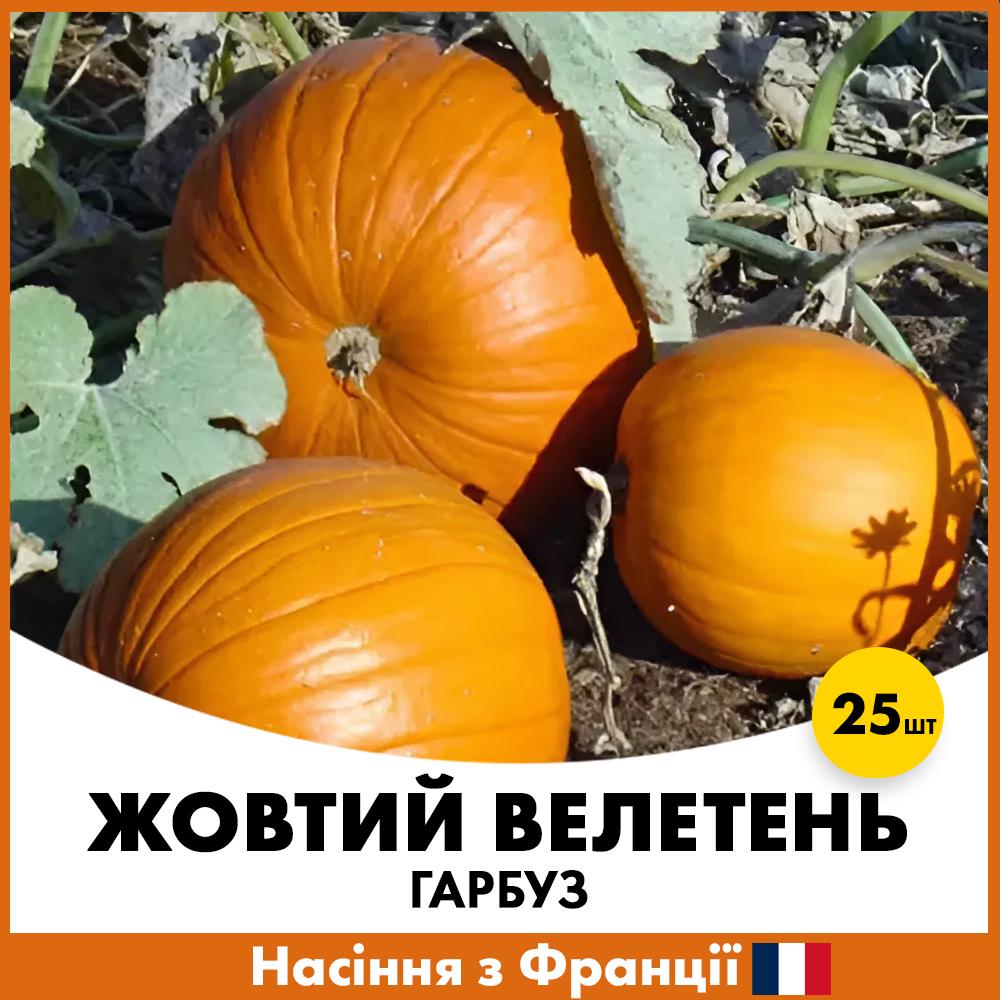 Семена тыквы GSN Желтый Великан 25 шт. (G2400248-25)