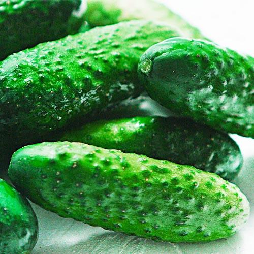 Семена Набір огірків Florium самозапильних 5 упак. (14304)