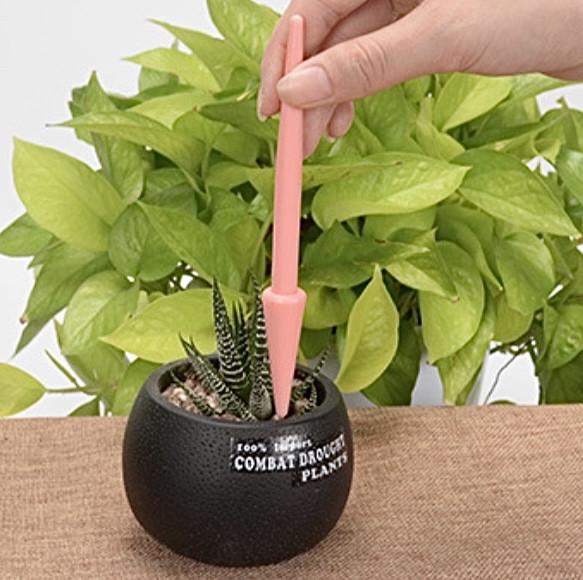 Набір інструментів для садівництва з дерев'яною скринькою 14 пр. Рожевий (23355318) - фото 5 Набір інструментів для садівництва з дерев'яною скринькою 14 пр. Рожевий (23355318) - фото 5