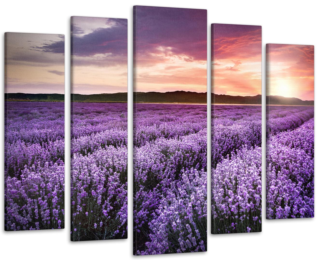 Картина модульная Лаванда Прованс 115х170 см (Art-325_5)