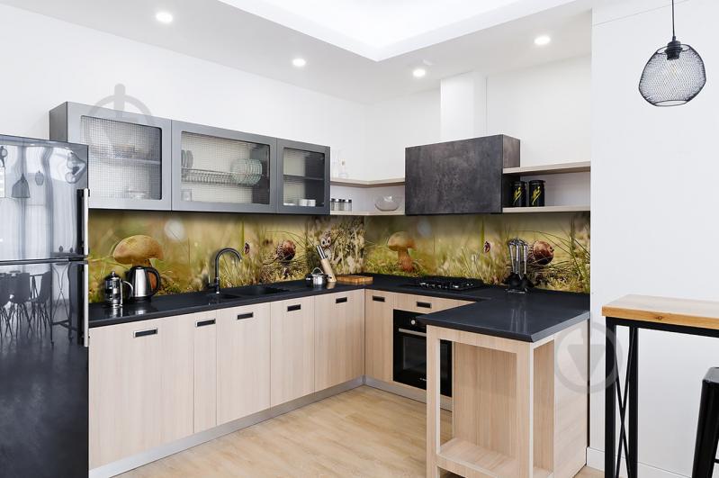 Скинали на кухню Zatarga «Грибы» 650х2500 мм виниловая 3Д наклейка кухонный фартук самоклеящаяся Z180537/1 Скинали на кухню Zatarga «Грибы» 650х2500 мм виниловая 3Д наклейка кухонный фартук самоклеящаяся Z180537/1