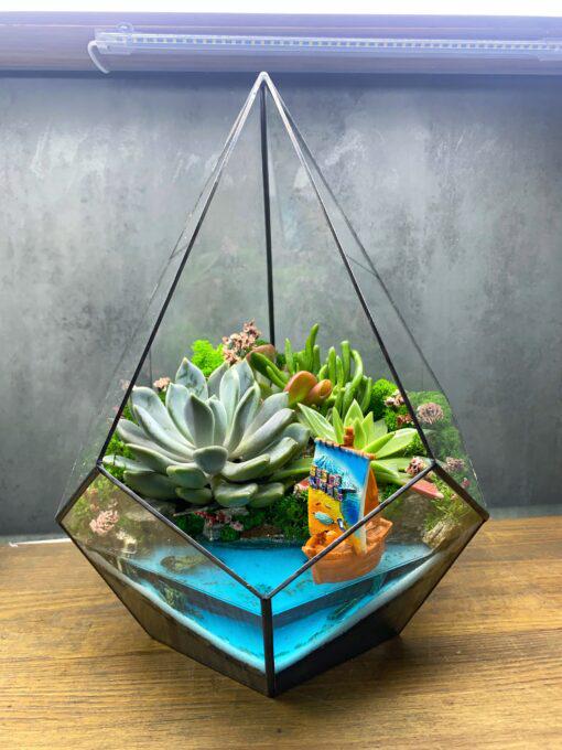 Флорариум в капле с суккулентами Бухта художников 33 см (15851K)