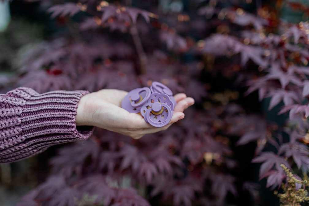 Пустышка Bibs Colour Latex Anatomical Mauve от 6 мес. - фото 4 Пустышка Bibs Colour Latex Anatomical Mauve от 6 мес. - фото 4