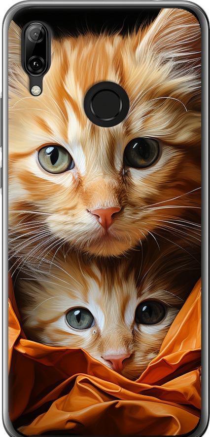 Чехол на Huawei Nova 3 Котики 2 (5664u-1535-42517)