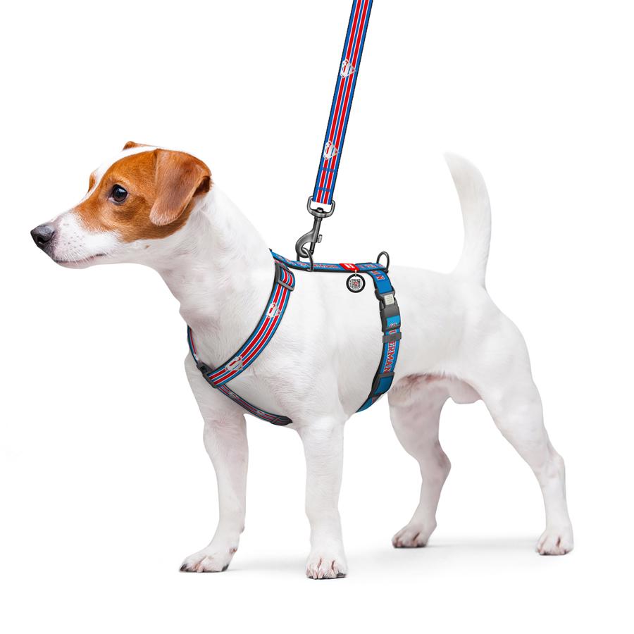 Шлейка для собак с QR-паспортом Waudog Nylon Супермен Ретро светоотражающая анатомическая H-образная с пластиковым фастексом XL 25 мм Blue (346-1082) - фото 4 Шлейка для собак с QR-паспортом Waudog Nylon Супермен Ретро светоотражающая анатомическая H-образная с пластиковым фастексом XL 25 мм Blue (346-1082) - фото 4