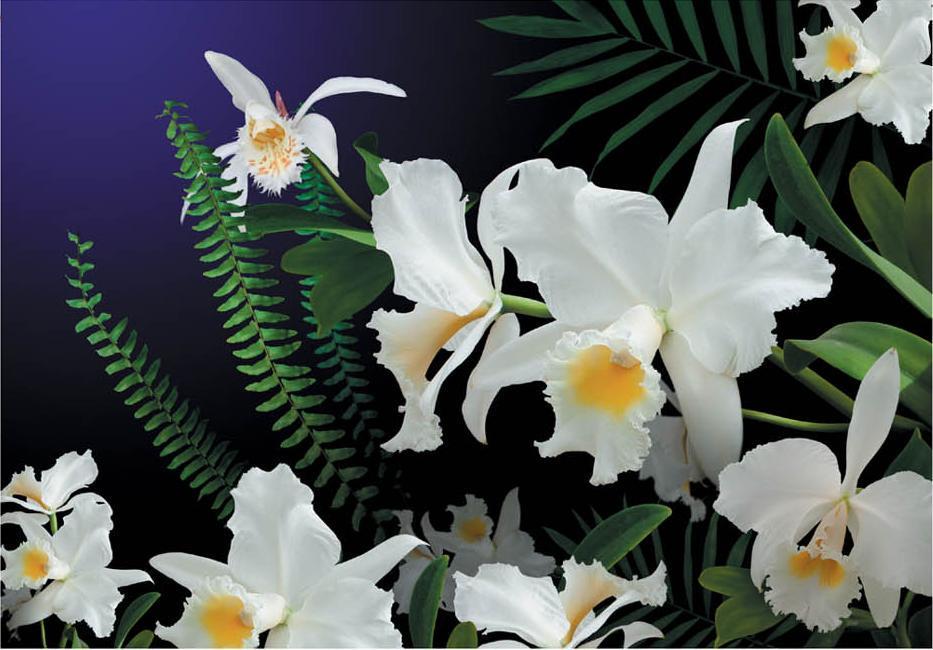 Фотообои на бумажной основе Artdecor Дикая орхидея 194х268 см (2000000450773)