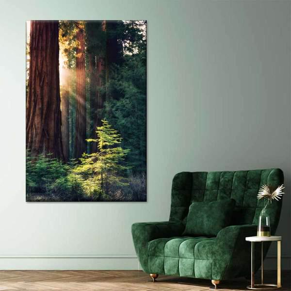 Картина KIL Art Солнце в лесу 81x54 см (48)