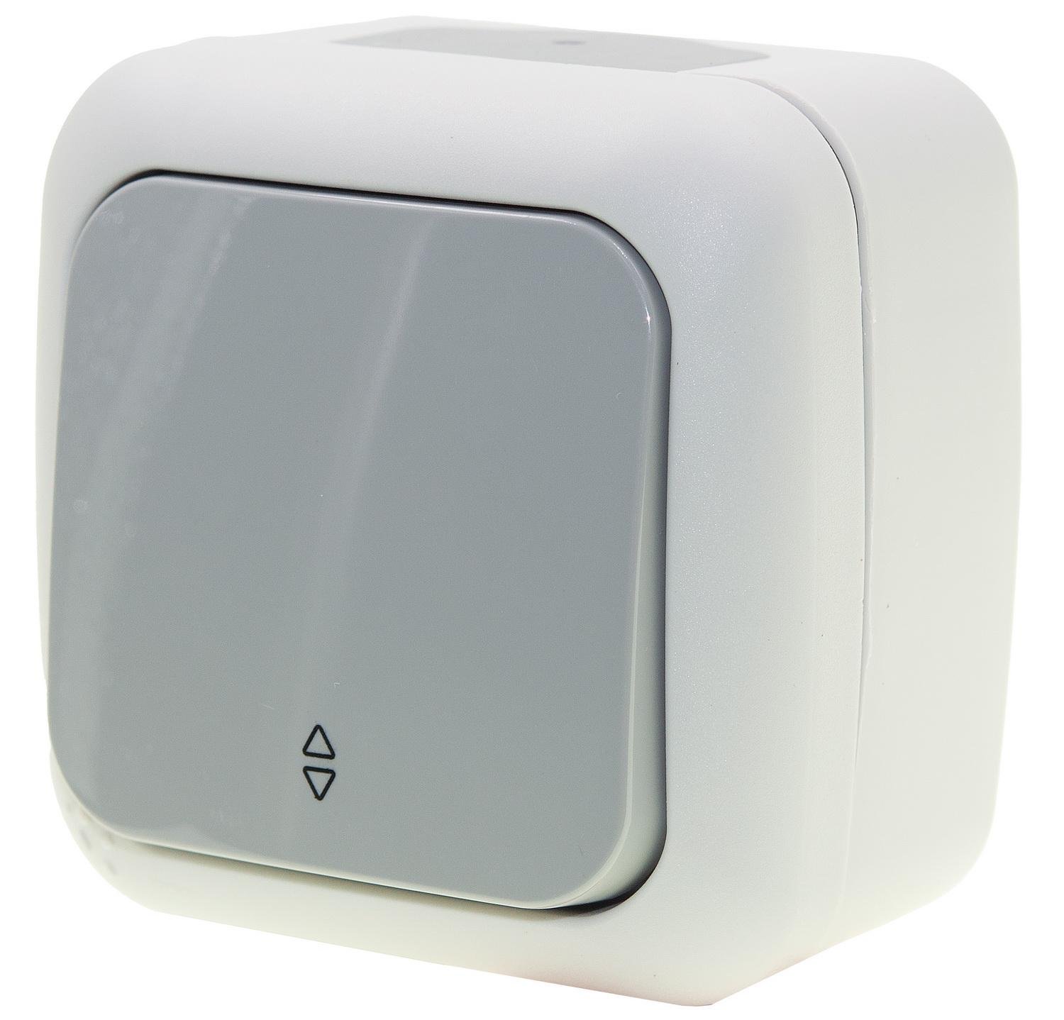 Выключатель внешний одноклавишный Viko Palmiye влагозащищенный проходной Серый (90555504)