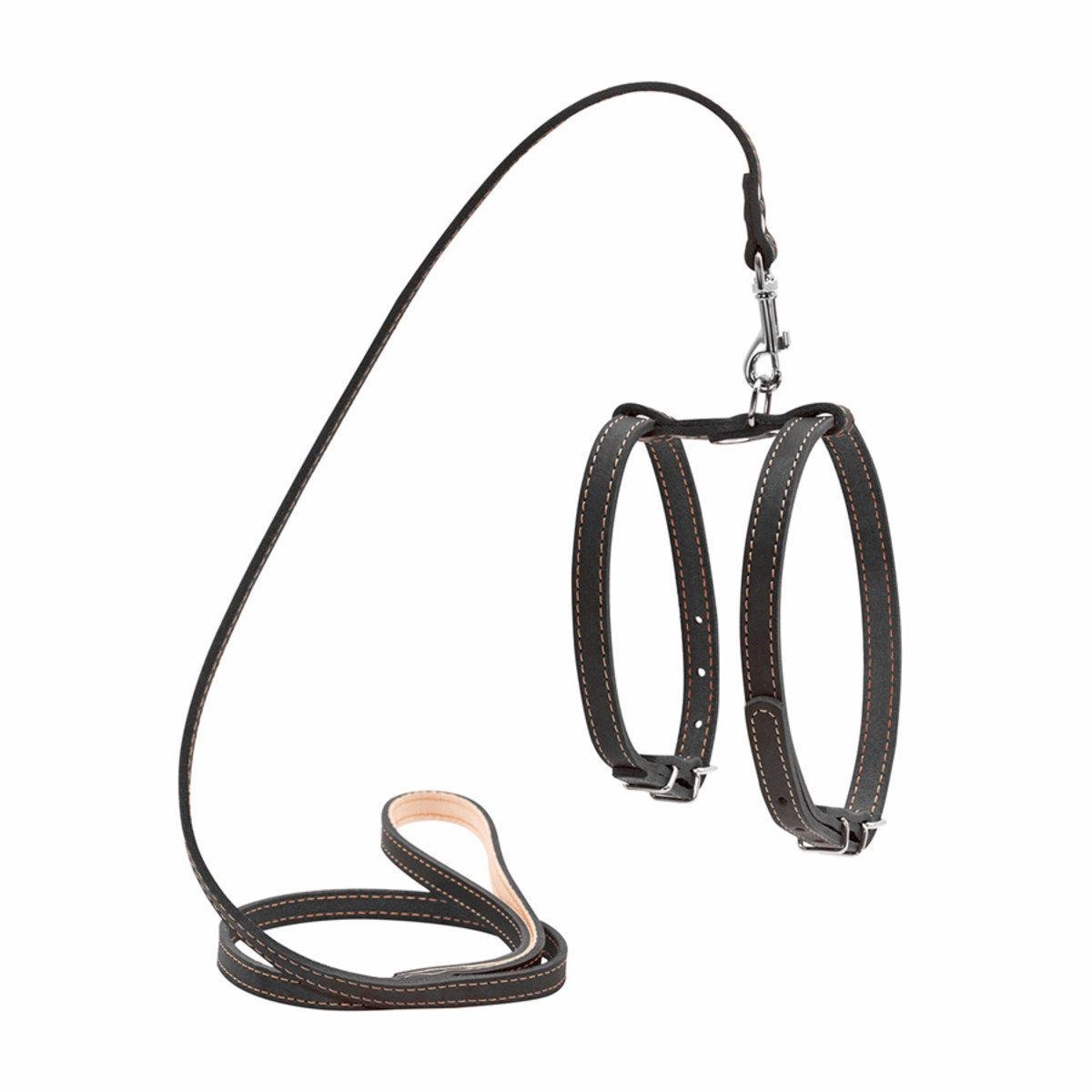 Шлея з повідцем CoLLaR для малих собак 14 мм х 122 см Чорний (05471 Col)