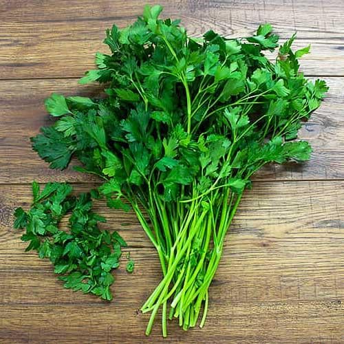 Насіння Петрушка Florium Карнавал (12174)