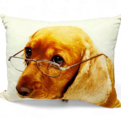 Декоративная подушка Пес в очках 40х50 см (378241)