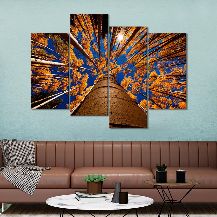 Картина природа Осенние деревья вид снизу 149x106 см (A1143-4)