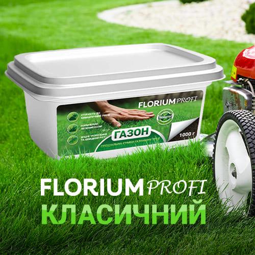 Насіння для газону Florium Profi Класичний 1 кг (18596) - фото 3 Насіння для газону Florium Profi Класичний 1 кг (18596) - фото 3