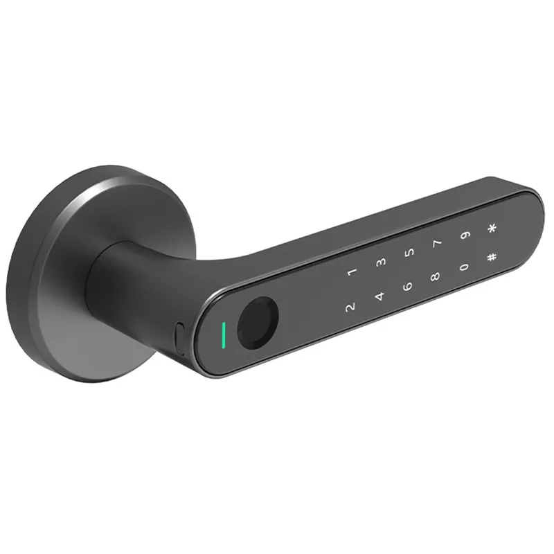 Замок умен для межкомнатных дверей Arkfish Smart Lock S5 Pro Standard Version Black