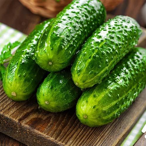 Семена Огірок Florium Китайський ельф (17051)