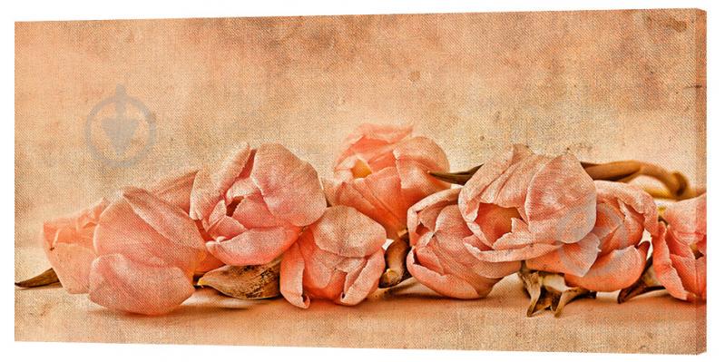 Картина на холсте Декор Карпаты Цветы 50х100 см (c788)