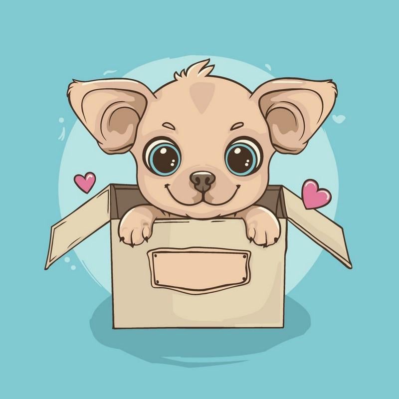 Картина по номерам ART CRAFT Пушистая посылочка 30x30 см Разноцветный (PM-194-K-1597)