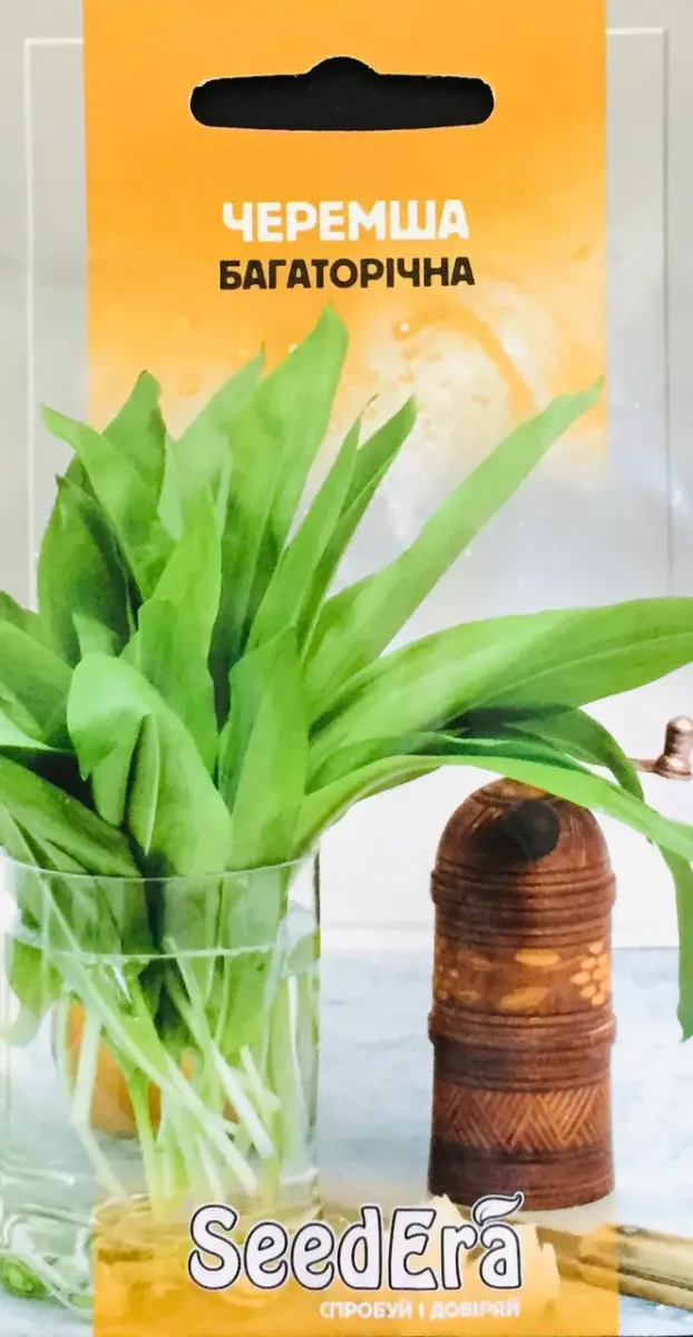 Насіння SeedEra Черемші багаторічної 0,2 г (902)
