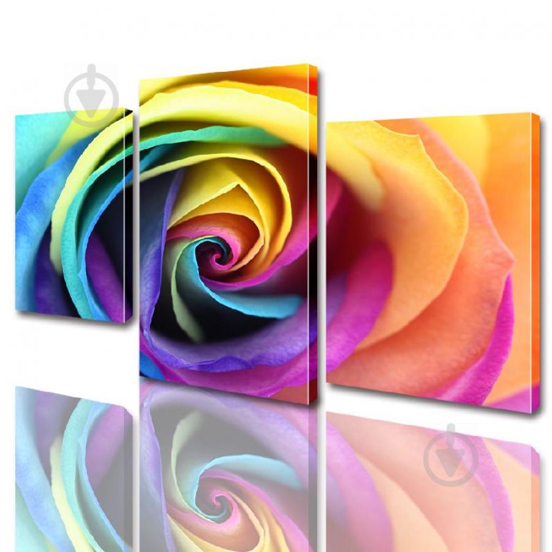 Модульная картина ArtStar цветы Цветная Роза ADFL0012 размер 70 х 105 см